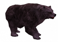 Cursed Grizzly Bear.png