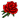 Rose (red).png