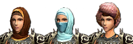 Arabic Hairstyle Warrior (F).png