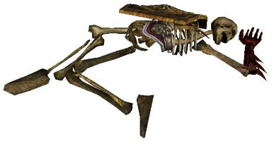 Sura Skeleton 4.png