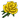 Rose (yellow).png